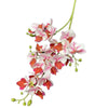 A stem of Lifelike Butterfly Orchid with 21 pink and reddish blooms.