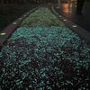 A pathway lined with glow-in-the-dark luminous pebbles illuminating a dark ground.
