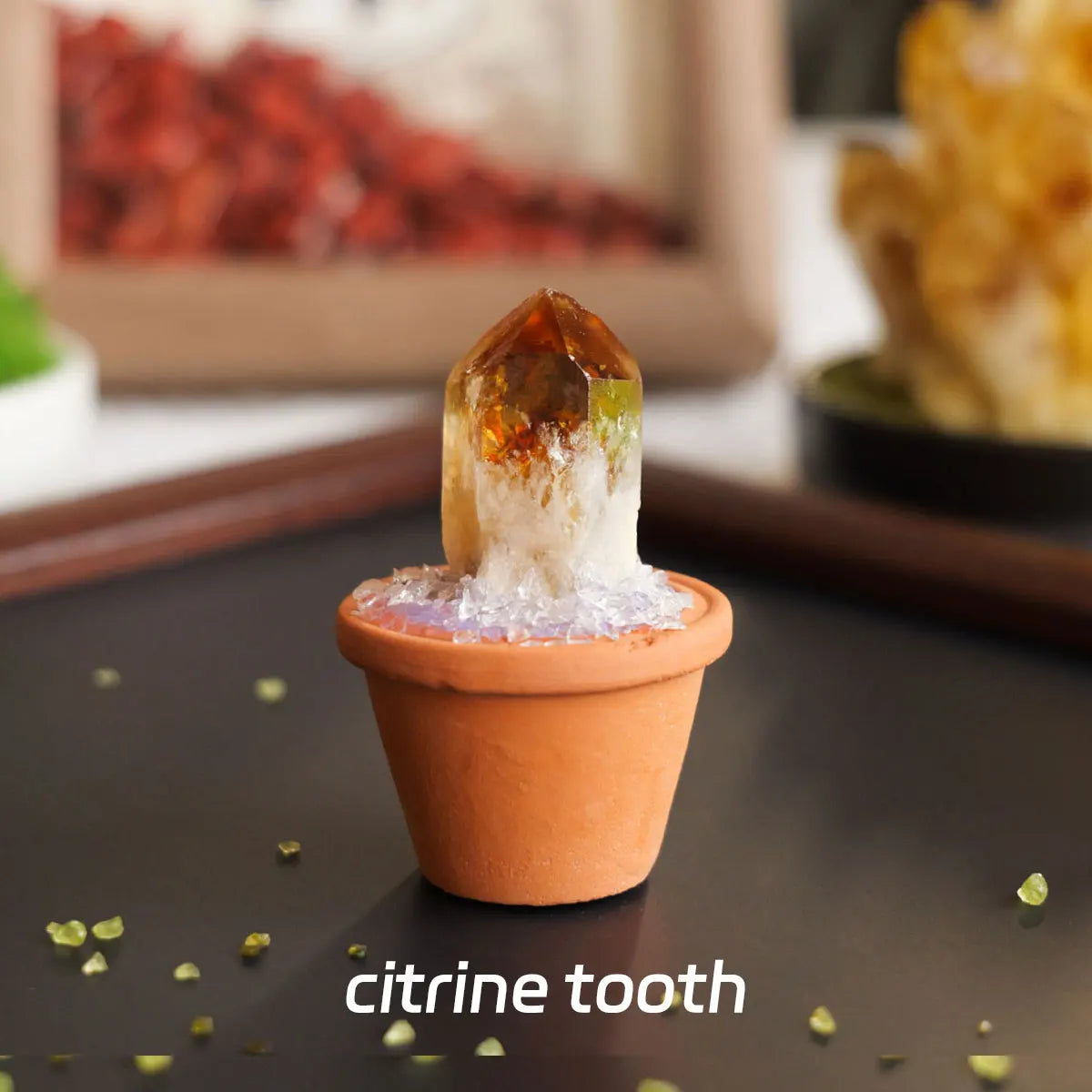 A small amber citrine tooth crystal displayed in an orange pot on a dark surface.