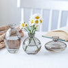 A set of three minimalist glass bud vases holding white daisies on a white surface.