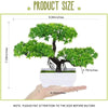 A small artificial bonsai tree decoration is shown next to a hand, with dimensions provided.