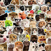 A collage of various funny cat faces and cartoon memes used as decals for laptops and bottles.