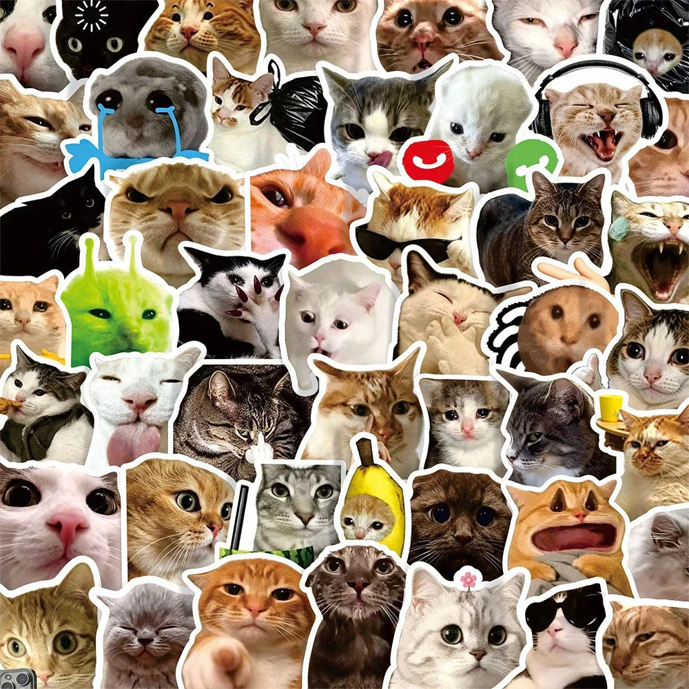 A collage of various funny cat faces and cartoon memes used as decals for laptops and bottles.
