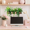 A desk setup featuring a computer monitor and potted green plants on a wooden shelf.