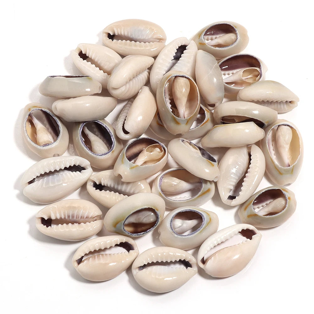 Natural Sea Snail Shell Beads for DIY Jewelry Making