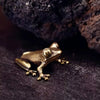 A vintage brass frog statue desktop ornament resting on a dark surface.