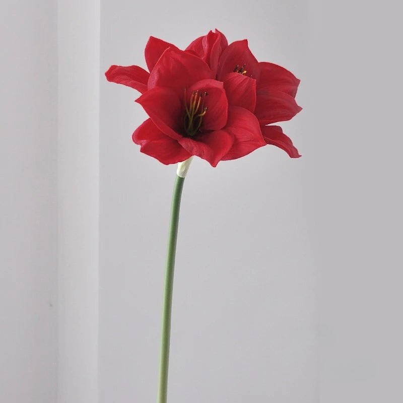A vibrant red artificial clivia amaryllis flower on a green stem.