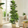 A tall artificial fiddle leaf fig tree in a white pot stands near a glass door with bright natural light.