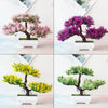 Collection de bonsaïs artificiels réalistes de différentes couleurs (rose, violet, jaune, vert) exposés en