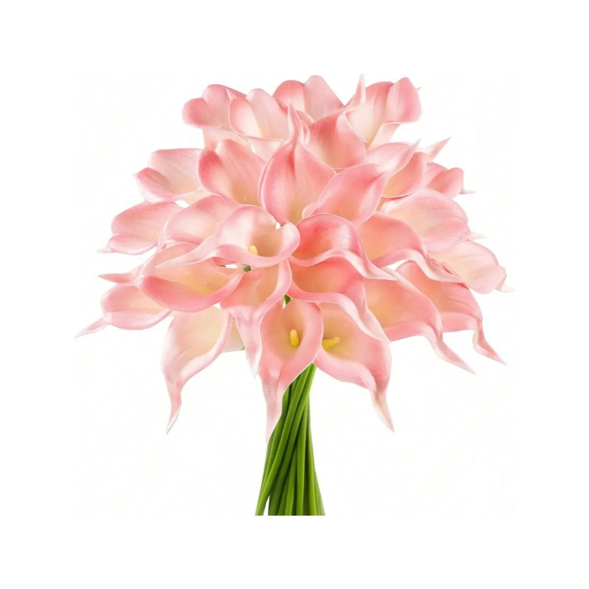 A cluster of pink calla lily blooms on a green stem.