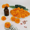 A set of bright orange artificial marigold and carnation flowers displayed on a white surface with green foliage.