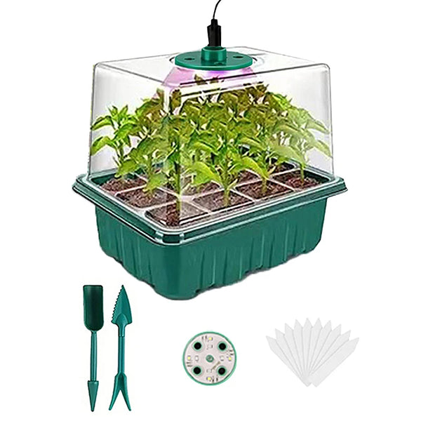 A clear seed germination tray with a green base and integrated grow lights, along with accompanying tools.