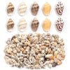 Natural Sea Snail Shell Beads for DIY Jewelry Making
