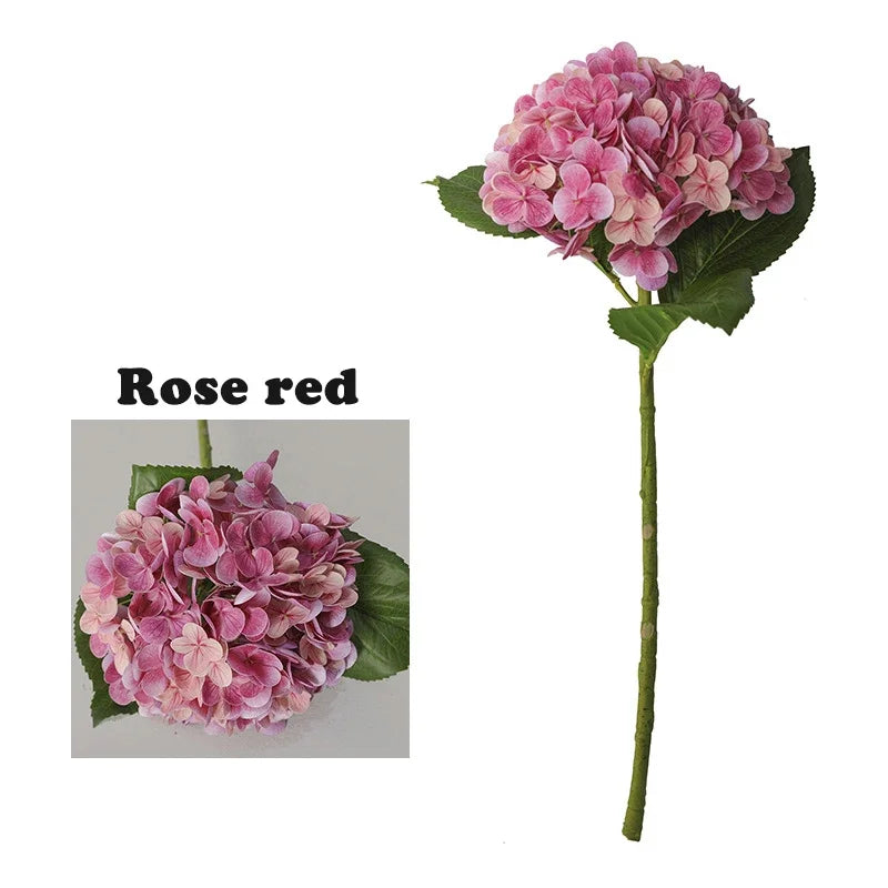 A pink rose red hydrangea flower on a green stem.