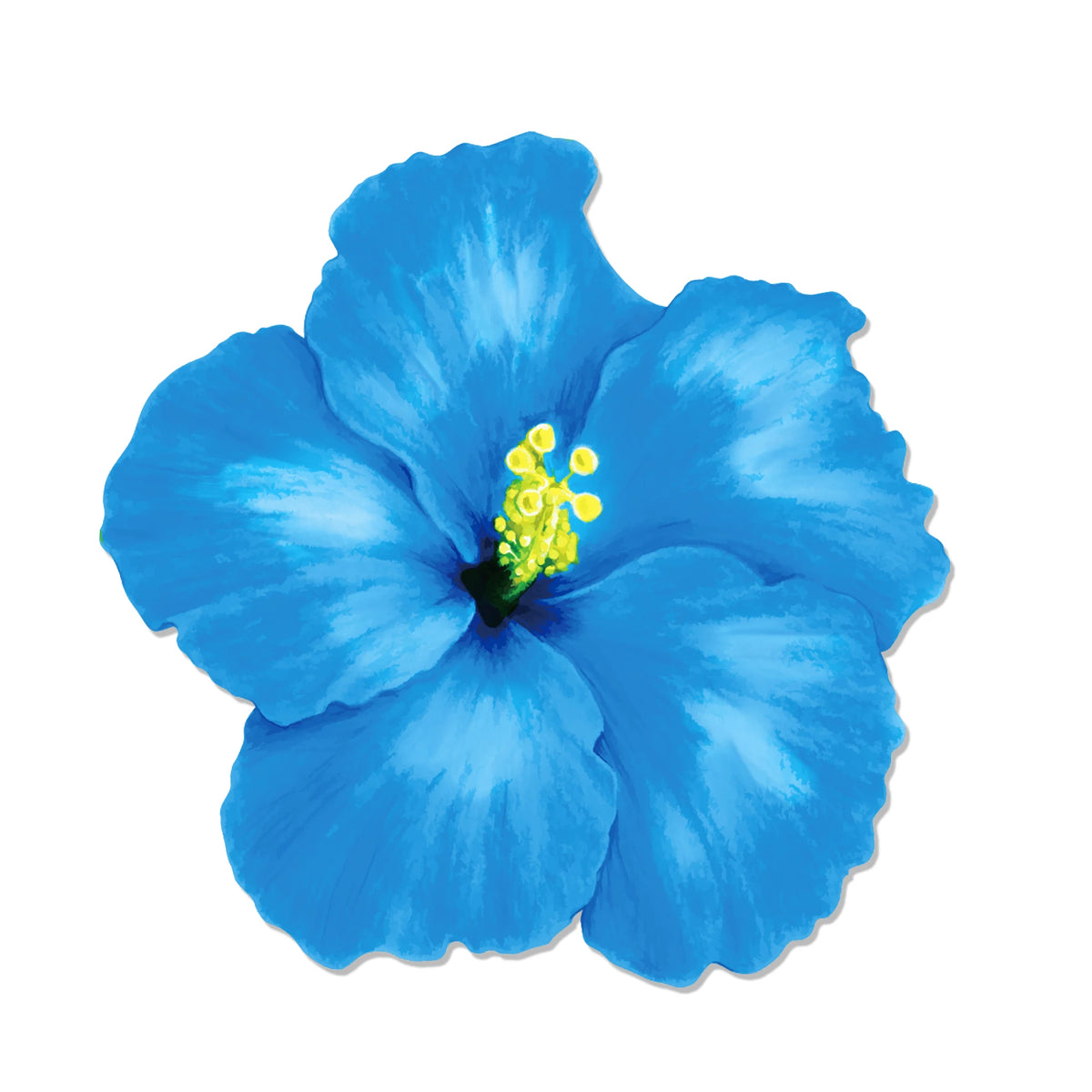 A vibrant blue hibiscus flower with yellow stamens.