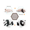Set of realistic panda life cycle figurines showing stages from cub to adult
