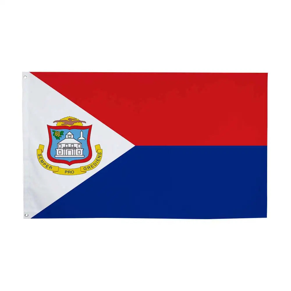 A rectangular flag design featuring red and blue fields with a white triangle and an emblem.