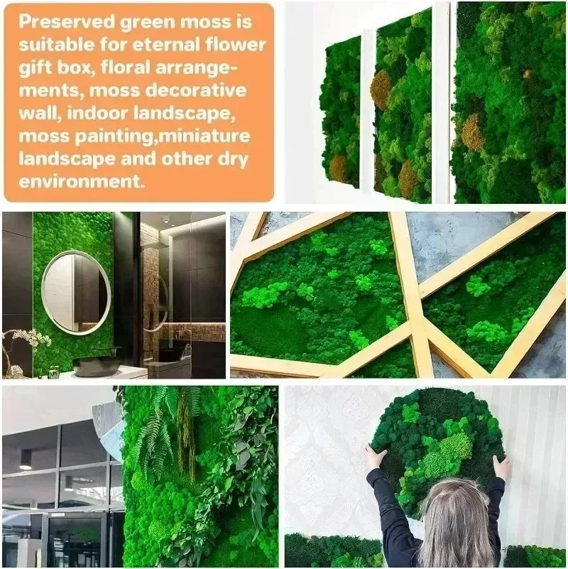 Various images showing preserved green moss used for eternal flower gifts, decorative walls, landscapes, and DIY projects.