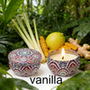A jar of vanilla aromatherapy soy wax candle surrounded by green foliage and citrus fruit.