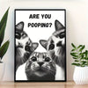 A black and white photograph of three cats looking directly at the camera, displayed in a framed poster.