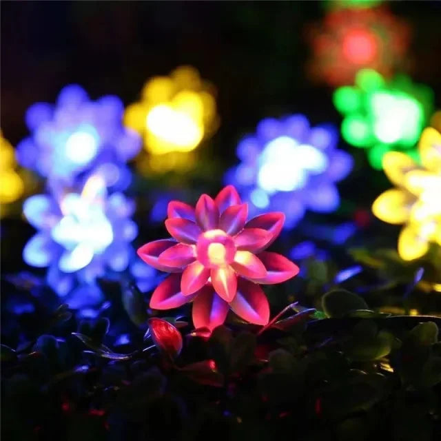 Colorful solar decorative string lights illuminating various flowers and foliage.