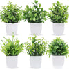 Four potted artificial bonsai plants with green eucalyptus leaves in white pots.