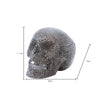 A realistic silver skull resin decorative sculpture shown from the top view with dimensions.