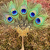Plume de paon naturelle utilisée comme éventail, avec des plumes vertes et bleues vibrantes.