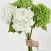 A bouquet of white and green hydrangea silk flower branches for weddings and home décor.
