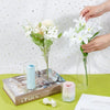 Set of 4 Clear Glass Cylinder Vases for Candles & Floral Displays