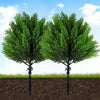 Two artificial cypress topiary trees with green foliage planted in dark soil under a blue sky.