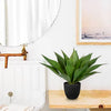 A potted artificial agave plant sits on a wooden shelf next to a white toilet and a framed mirror.