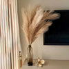 A tall dried pampas grass stem in a glass vase displayed next to a dark framed picture and a light-colored curtain.