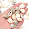 Natural Sea Snail Shell Beads for DIY Jewelry Making