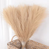Un paquete de pampas artificial color beige claro para decoración del hogar