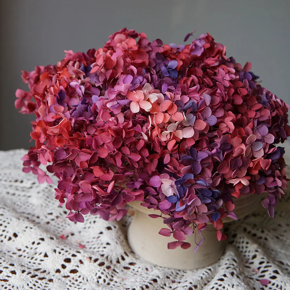 A bouquet of dried hydrangea flowers in shades of pink, purple, and magenta resting on a white lace fabric.