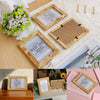 A collection of natural wood rectangular photo frames and a potted plant displayed on a light background.