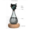 A glass bottle decoration shaped like an Egyptian cat, featuring a dark green top and a clear body on a beech base.
