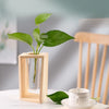 A glass test tube propagation station with a clear glass tube held in a light wooden stand, holding a green plant.