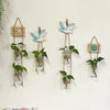 A collection of decorative glass terrariums featuring various indoor plants and floral elements hanging on a white wall.