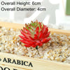 A vibrant red succulent bonsai ball is displayed in a wooden tray with small pebbles.