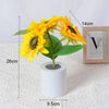 A bright yellow sunflower plant in a white pot with leaves and flowers, shown next to a framed picture.
