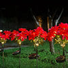Red poinsettia flowers illuminated by solar garden lights in a grassy outdoor setting.