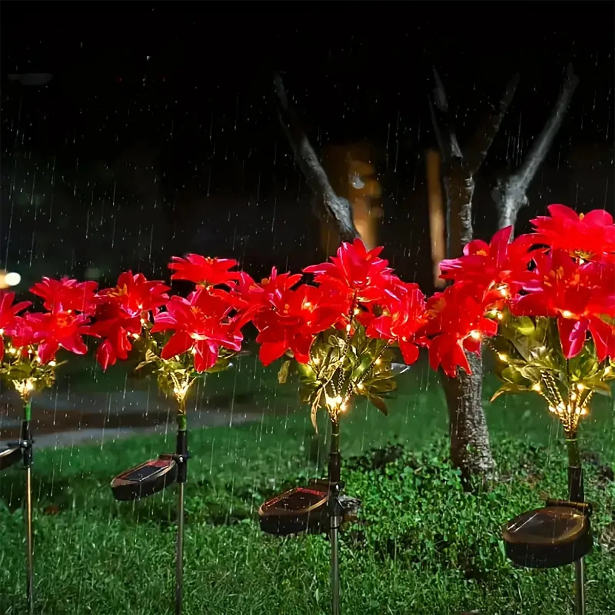 Red poinsettia flowers illuminated by solar garden lights in a grassy outdoor setting.