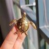 A golden vintage marine life brooch pin set shaped like a sea turtle held by a hand.