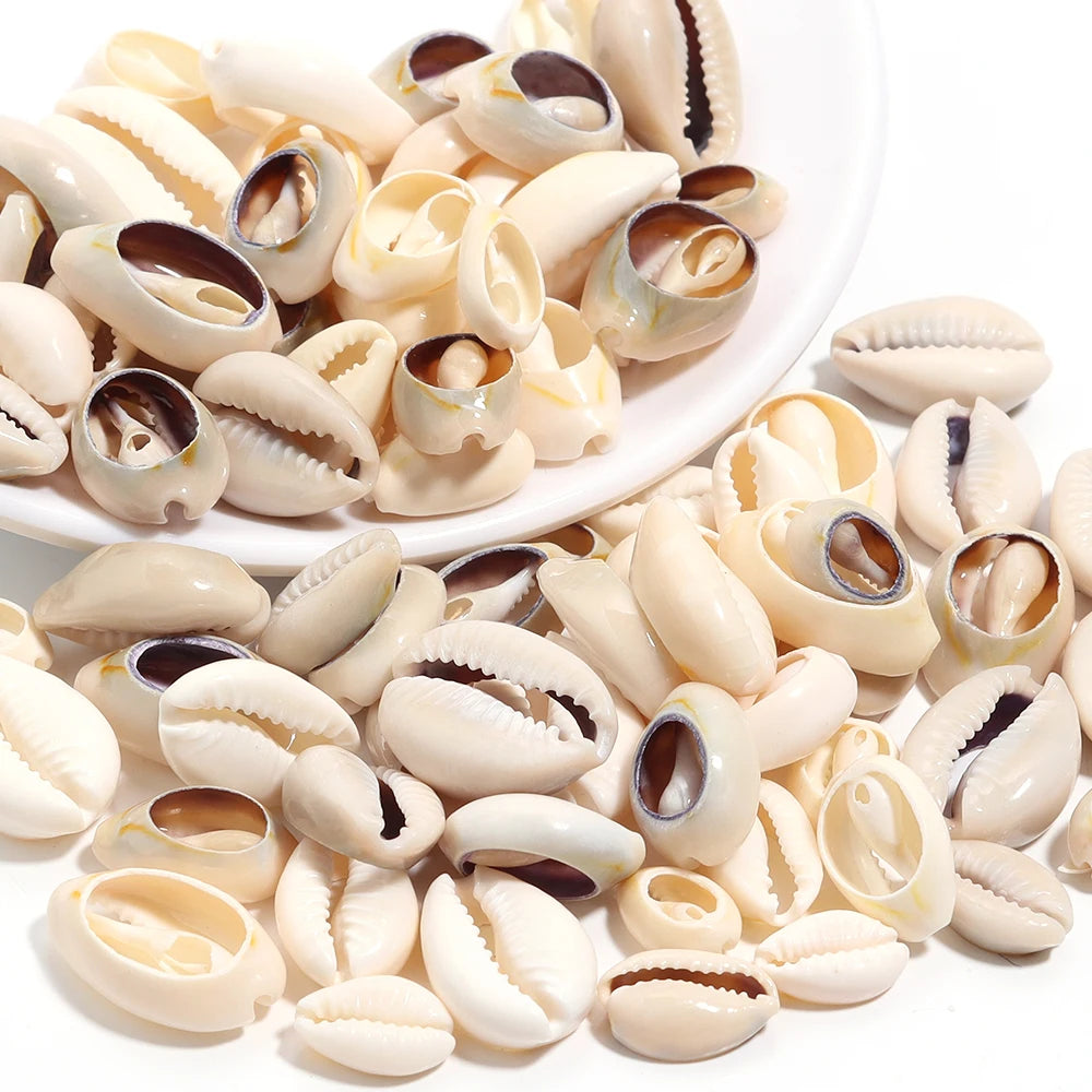 Natural Sea Snail Shell Beads for DIY Jewelry Making