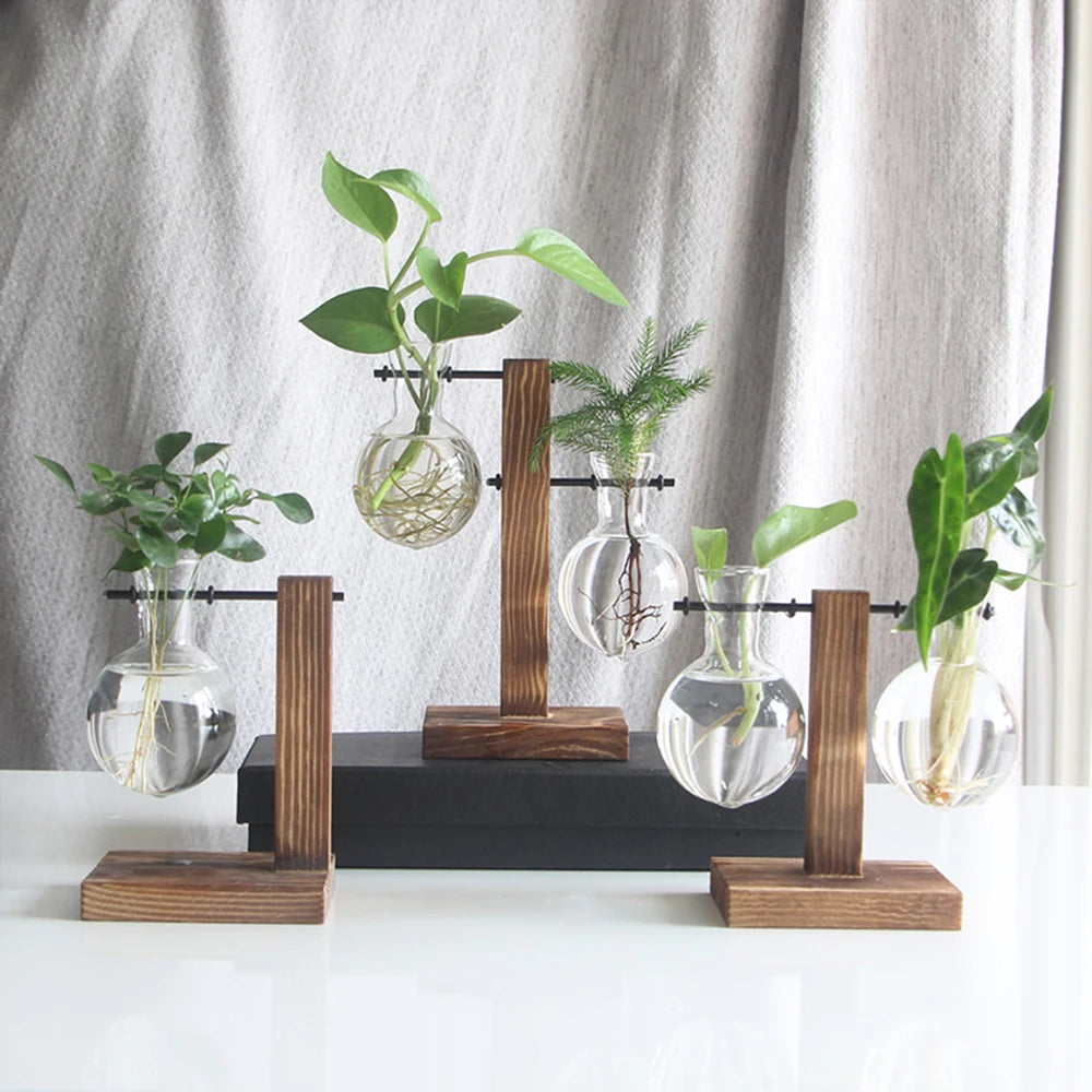A collection of glass bulb planters with wooden stands holding various green plants on a white desk.