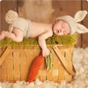 A newborn baby is sleeping inside a woven basket lined with green moss and surrounded by crochet lion accessories.