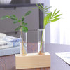 A glass test tube propagation station with wooden stand holding green plant shoots in water.