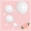 Matte White Balloon Variety Pack for Parties and Events